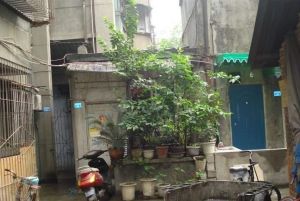 新鸿路五冶住宅区2室1厅南北
