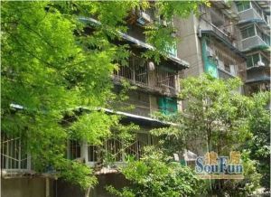 新鸿路五冶住宅区2室1厅东南