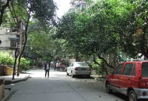新鸿路五冶住宅区2室1厅南