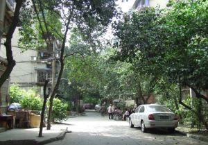 新鸿路五冶住宅区3室1厅南