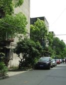 新鸿路五冶住宅区3室2厅东南南