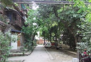 新鸿路五冶住宅区2室0厅东北