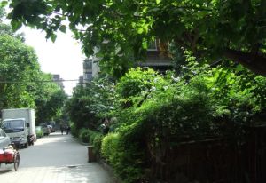 新鸿路五冶住宅区2室1厅东南
