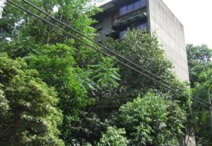 新鸿路五冶住宅区3室1厅西南