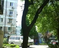 一梯两户,交通便利,精装修,诚意出售