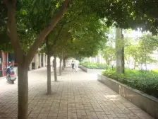 铜梁 龙腾盛世 2室2厅