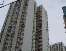 开发浦东正规三房电梯房的低层出行方便业主诚售