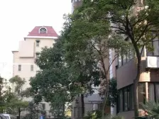 荣成大厦 3室2厅 南