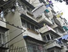 张杨路370弄1室0厅南
