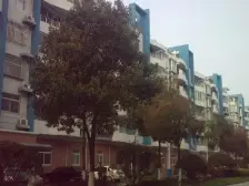 精装 满五年 地铁口100米 户型正气 采光好