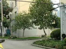 听潮一村 2室1厅 南 西南