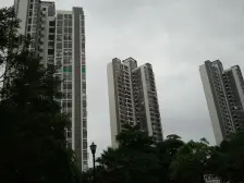 花城广场 3室2厅 东南