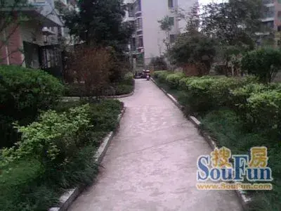 大足龙宇丽景