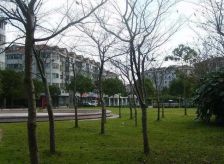 地铁口中间楼层,户型方正采光通风好,带储藏室