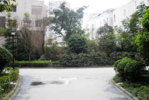 上锦颐园佳境2室1厅西南