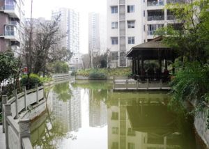 上锦颐园佳境4室2厅东南