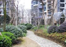 上锦颐园佳境 2室2厅 西南