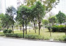 上锦颐园佳境 3室2厅 东南