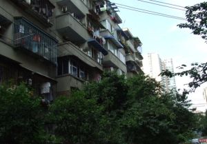 育苗路8号2室1厅东南