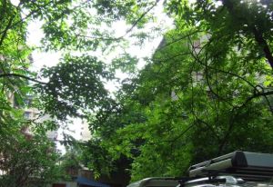 育苗路8号3室1厅东南