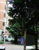 加贝花园 3室1厅 东南