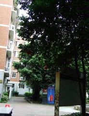 加贝花园3室1厅东南