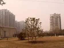 急售!商圈聚焦+店总主推.张江南.大平层.16号线.s2.s3