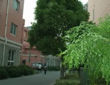 大两房,精装修,近商圈,16号新场,有车位独立充电桩
