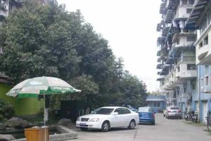 金港湾花园一期 3室2厅 东南