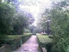 绿杨新邨 2室1厅 东南