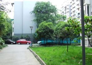 懋园西沿风景3室2厅东南