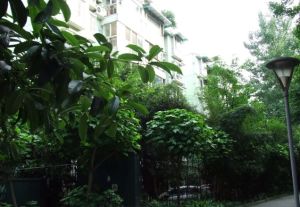 懋园西沿风景2室2厅西南