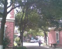 大院子 精装修 顾唐路站 300米 房东诚心出售