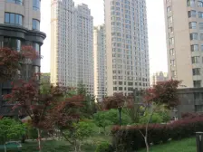 明秀山庄B区一楼带花园带阳光房精装修一楼越2楼