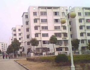 川沙·新德路506弄·2室·1厅