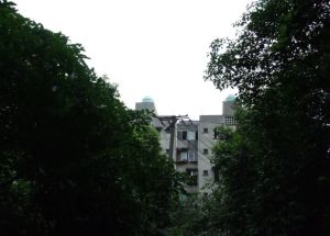莲桂苑3室1厅东南