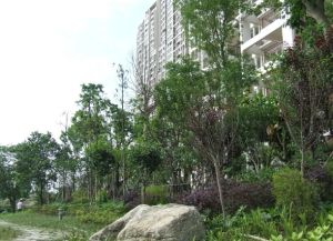 西西学府里2室1厅东南