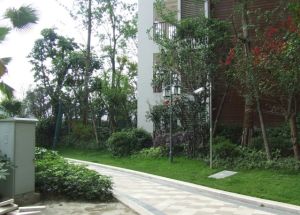 西西学府里1室1厅东南