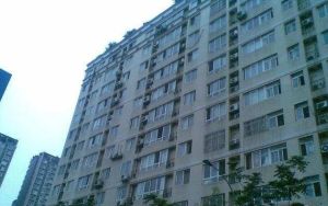 思维源邸3室2厅西南