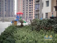 金桥花园错层大三室,有电梯,装修保持好!