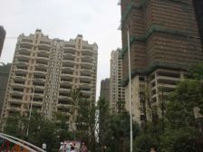 小三房精装修拎包入住碧桂园凤凰城星悦湾