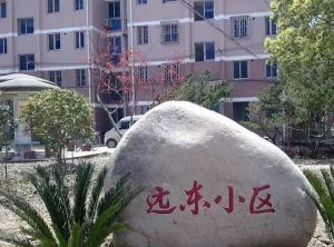 唐镇·远**区·3室·2厅