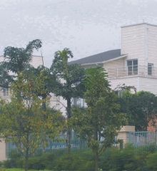 鹰冠庄园3室1厅南