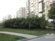 房子在一楼,带一个朝南小花园,南面一排,私密性好