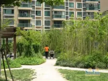 2012年商品房小区,三开间朝南,南北双阳台