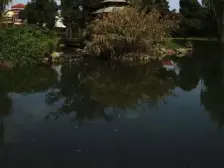 院子里可以踢足球的别墅,中房森林耗资800米精装,看房随时