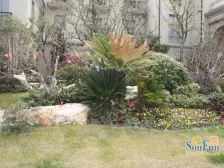 带产权车位 电梯房 新上房源