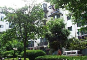 【兴顺苑】| 成都市龙泉驿区龙泉街道办事处兴茂东街343号2栋1单元4层6号房屋