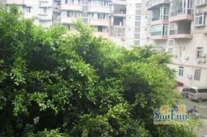 瑞丰苑(龙泉驿)4室2厅东南