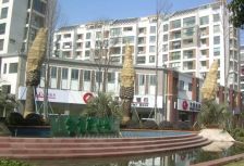 常青藤小城,出门龙湖天街加3号线地铁,行知加曙光